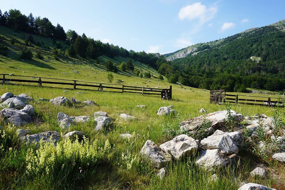 Mountain House Varda Ledenice Zewnętrze zdjęcie